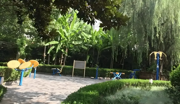 深圳落户留学生条件_央视发文力挺，这一次杨幂让前夫刘恺威望尘莫及 莫及比年相与过去五